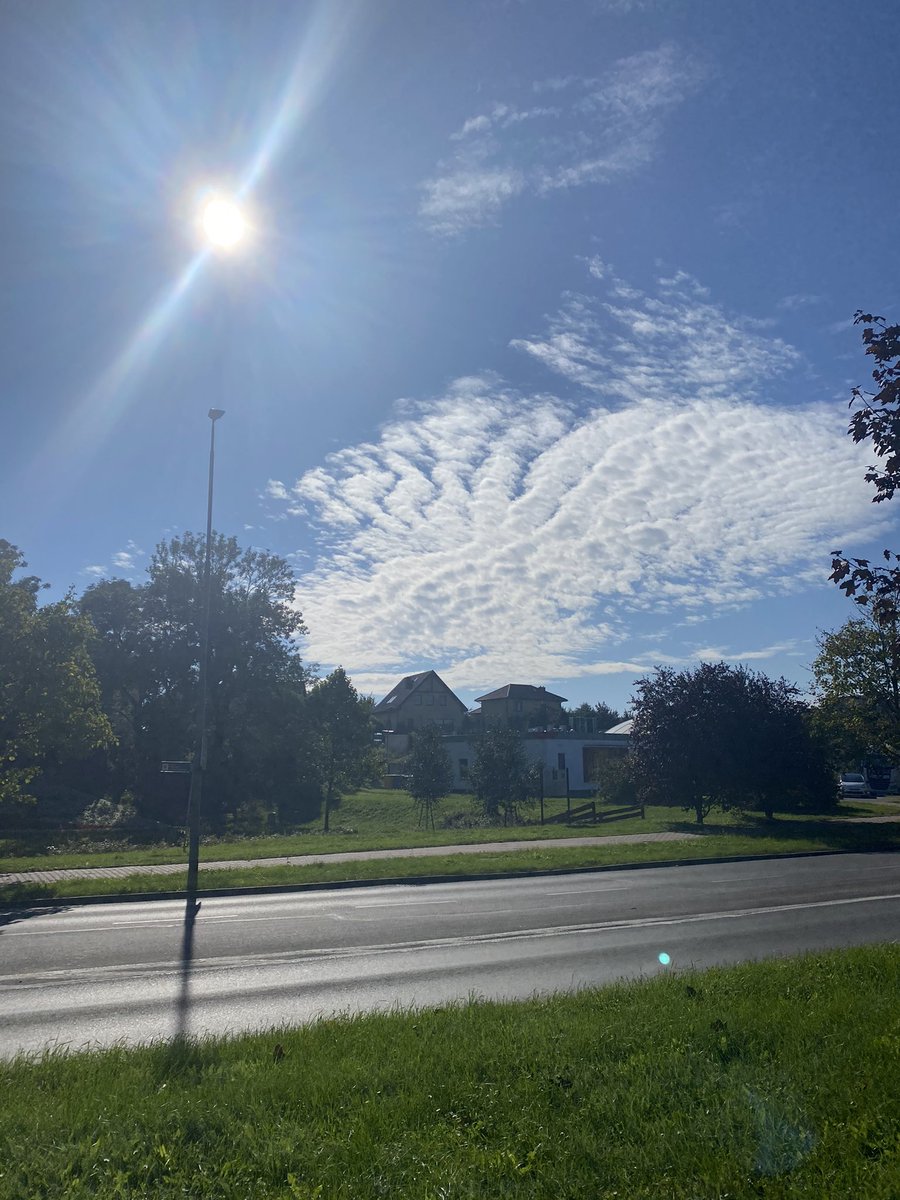 subteInosc's tweet image. quote with a photo that you took which contains no people and no words. let’s make a thread of calm