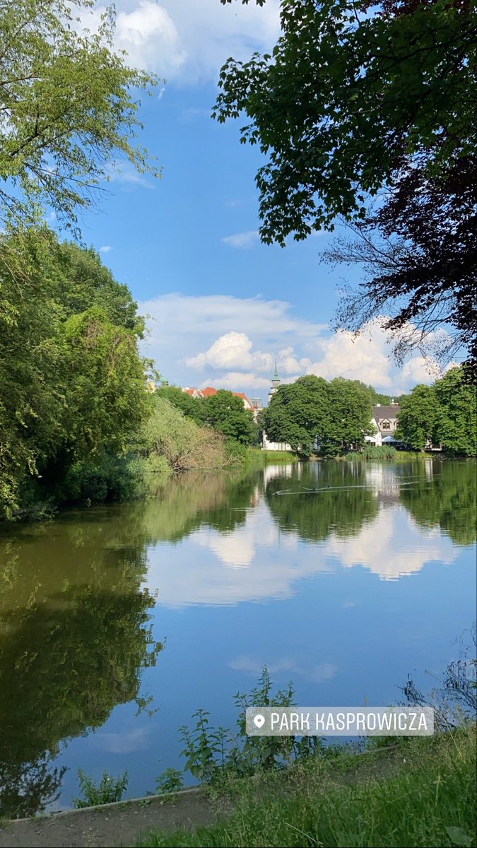 subteInosc's tweet image. quote with a photo that you took which contains no people and no words. let’s make a thread of calm