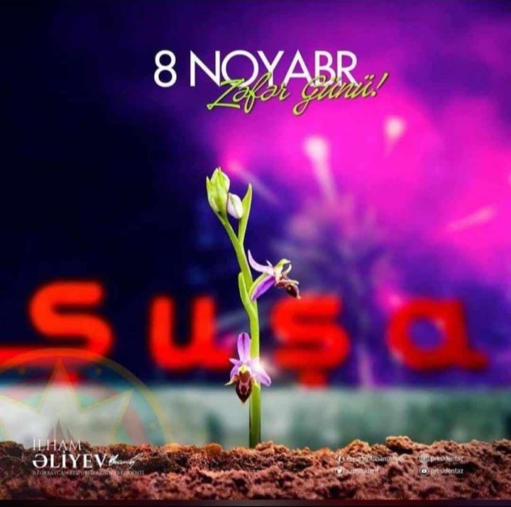 Deniz Arslan (@denizar11889330) on Twitter photo 