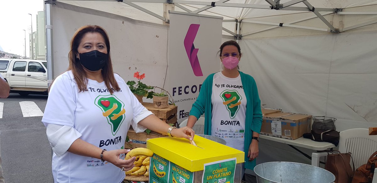 Teresabogo's tweet photo. Hoy el municipio de Guía se ha sumado a la iniciativa solidaria “Cómete un plátano por La Palma” que organiza la federación insular #fecoeca a través de #Fenorte y la Asociación de Empresarios y Profesionales de Guía, #Proguía. Ahora más que nunca consume #ProductoLocal https://t.co/J9DxIYMFsU