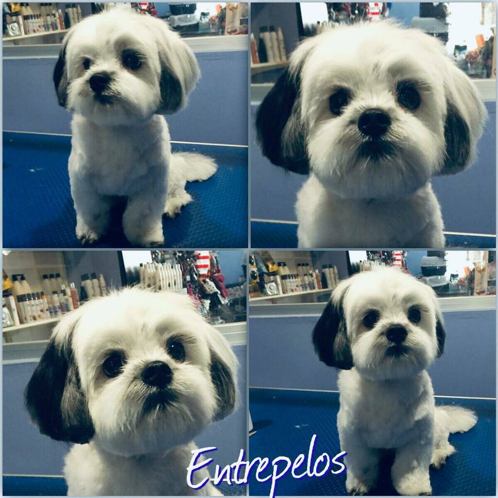 ¿Que tal ha ido el domingo? Seguro que el de nuestro amigo fenomenal.😀