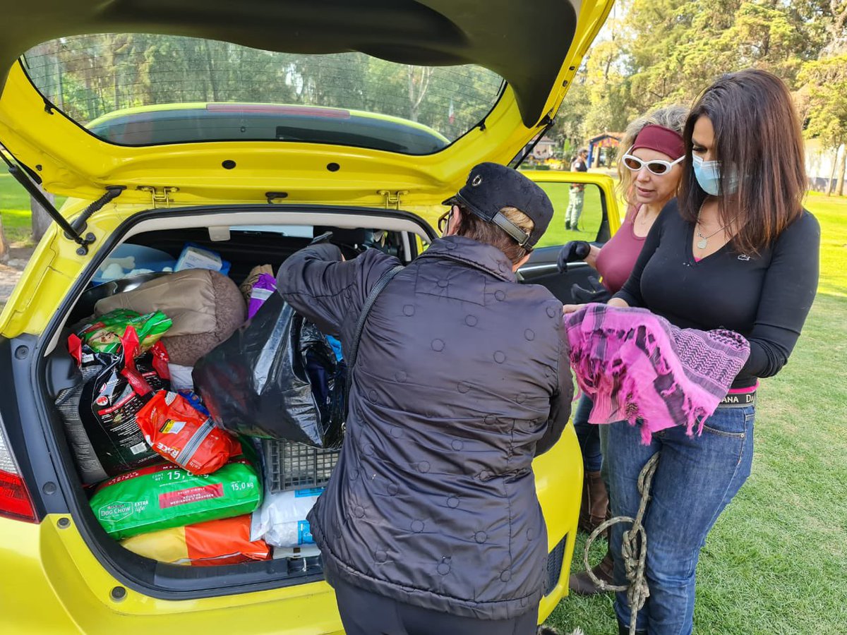 LetyVarela's tweet photo. Gracias a mis queridas @sylviapasquel y @azelarobinson por visitar y donar alimento a la Brigada de Vigilancia Animal; todo el apoyo suma y aquí necesitamos más comida, collares, toallas, etc
Junt@s por #BienestarAnimal 🤗 https://t.co/xH40aDV3Cb