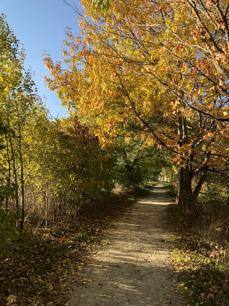 RaleighBeKind's tweet photo. Beautiful fall day for a trail walk. Listening to the amazing @ATAOkennel podcast (wonderful stories about their first Iditarod) as I close in on my #100daysofmovement challenge - inspired by thIs amazing team. Daydreaming about seeing my ATAO buddies around the next bendโบ๏ธ https://t.co/XP7apeON9M
