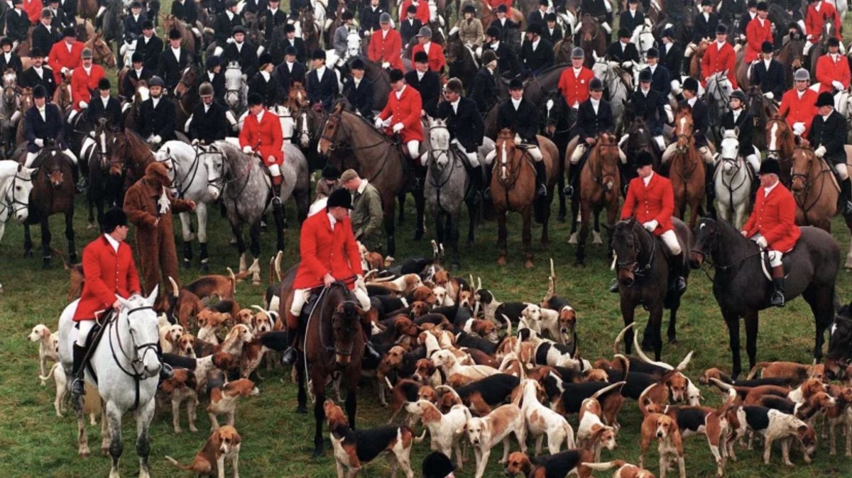ChrisGPackham's tweet photo. The Hunting Office have told @itvnews that the person involved in abusing the horse is not a member of ‘the hunting associations’ . @HertsHuntSabs have confirmed that they were hunting with the @CottesmoreHunt and I now have photographs of them previously hunting with this hunt . https://t.co/SnU3ISRv4G
