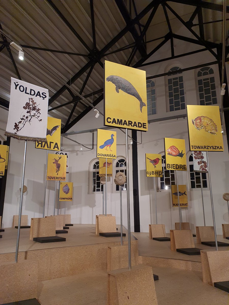 Highlight of this weekend making an unexpected visit to the Court for Intergenerational #climatecrimes - loved the way #morethanhumans populate the tribunal space as comrades and stakeholders  <a href="/FramerFramed/">Framer Framed</a> a bittersweet reminder of both #COP26Glasgow and <a href="/HOLBnetwork/">Humans and Other Living Beings (HOLB) Network</a>