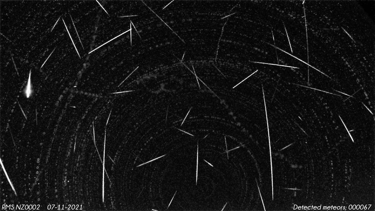TasmanSkies's tweet photo. 67 meteors on the #NZ0002 #meteorcam over #Motueka last night https://t.co/6b896MMvKJ