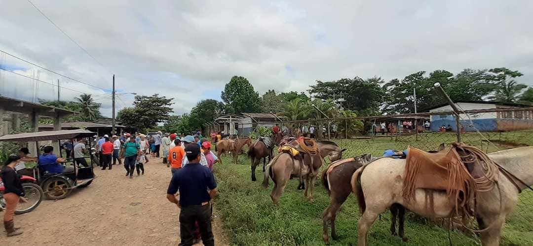 xarfyc's tweet photo. En #Nicaragua manda el pueblo y los pobladores de Nueva Guinea en la Región Autónoma de la Costa Caribe Sur así lo demuestran… 

A pie, en carreta o a caballo llegan a ejercer sí derecho al voto.

#UnidosEnVictorias
#EleccionesSoberanas2021 https://t.co/fJ1KweESZ7