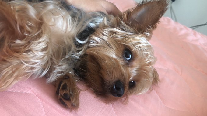 Perd&iacute; la cuentas de cu&aacute;ntas veces le digo Te amo a Brownie de arequipe https://t.co/fBxYTxNAKb<a href="/tag/onlyfans"class="tags"><span>#onlyfans</span></a><a href="/tag/onlyfanslatina"class="tags"><span>#onlyfanslatina</span></a><a href="/tag/onlyfansleakedvideo"class="tags"><span>#onlyfansleakedvideo</span></a>