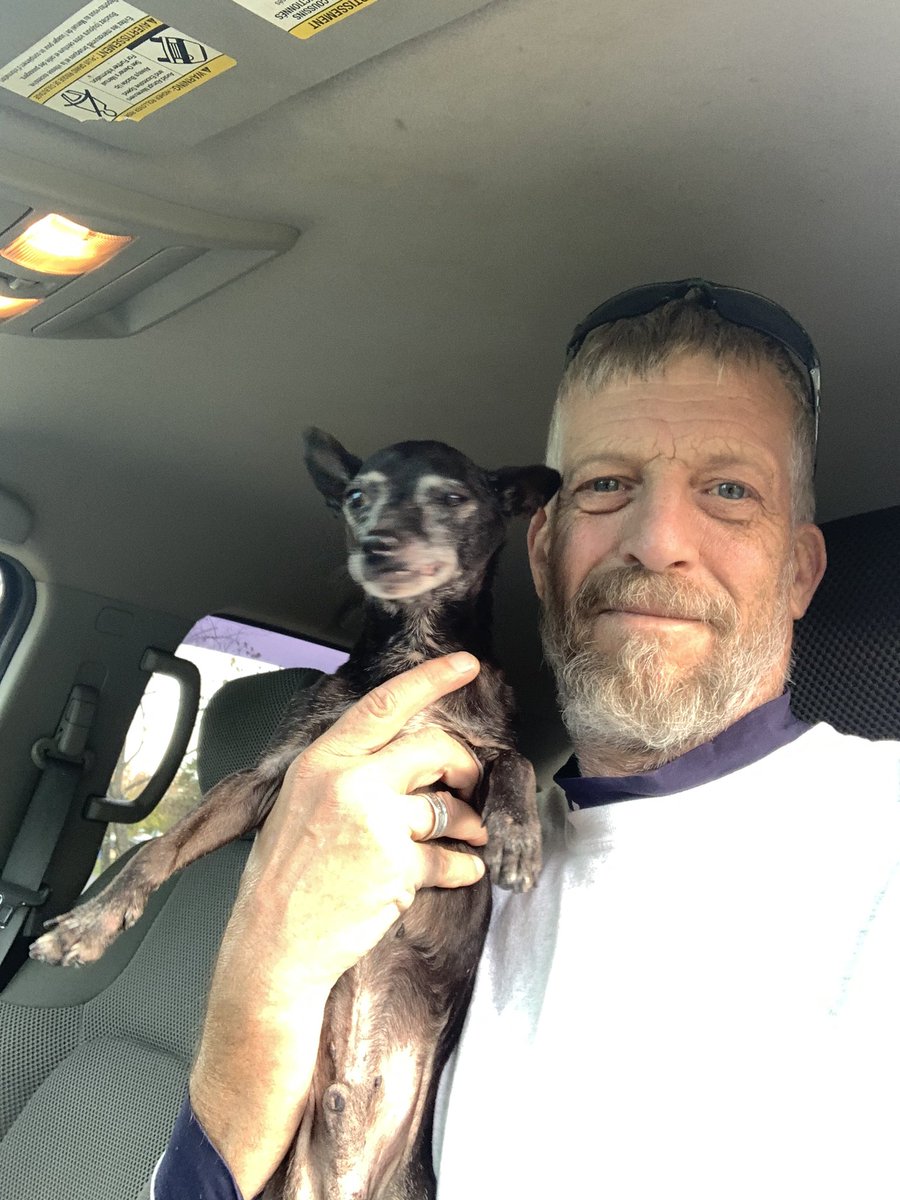 dcwingate's tweet photo. Dallas Trippin Sunday 🐾👅
Someone’s first #coffeerun☕️
You might think he was already earning his keep around here buy guarding the house but the old man was sound asleep!!!! 🐾🐾💤 #GrayFaceMafia #DogsofTwittter #AdoptDontShop #NoTeef #LilBigManD https://t.co/Njt9lMwHs4