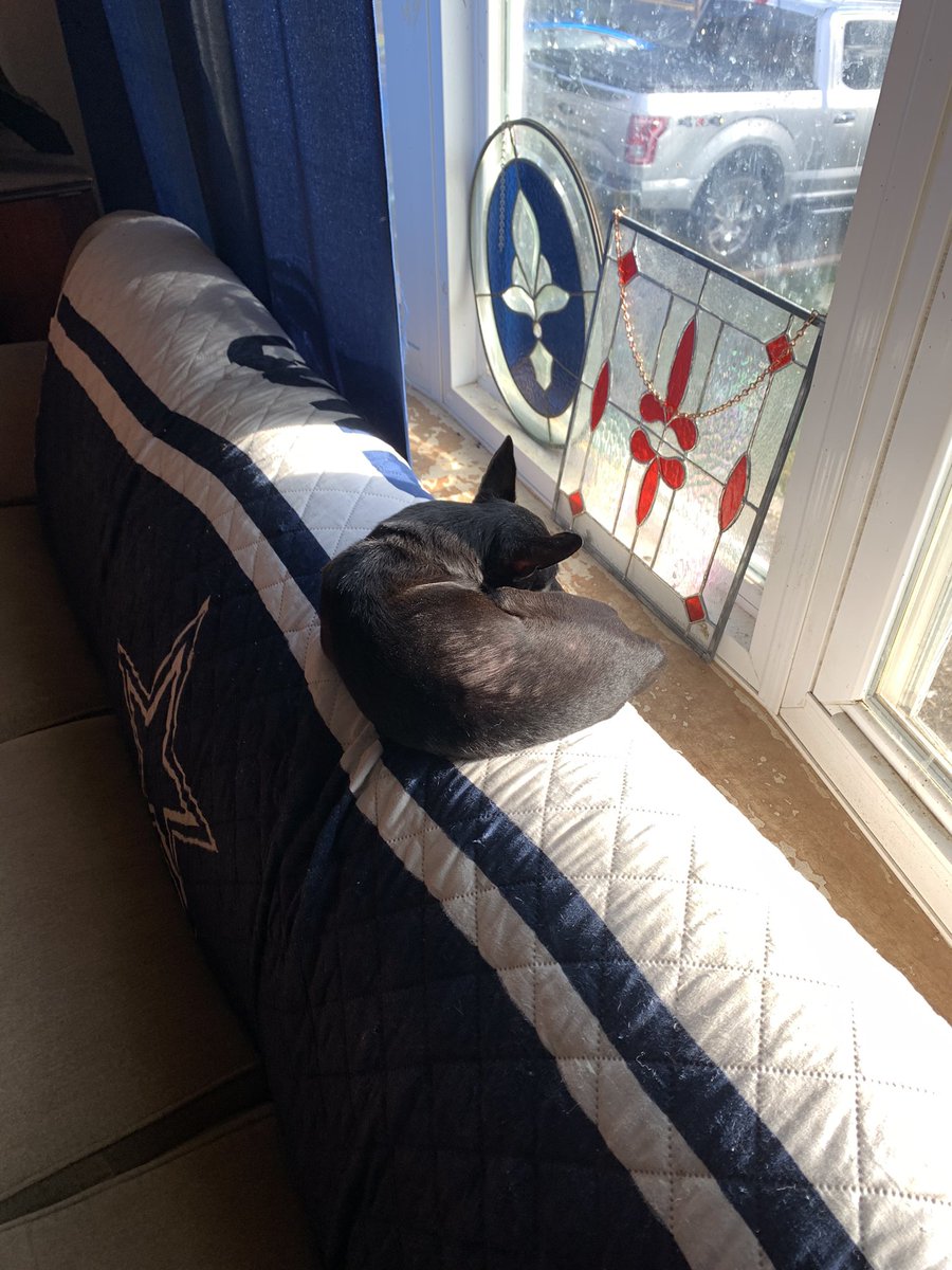 dcwingate's tweet photo. Dallas Trippin Sunday 🐾👅
Someone’s first #coffeerun☕️
You might think he was already earning his keep around here buy guarding the house but the old man was sound asleep!!!! 🐾🐾💤 #GrayFaceMafia #DogsofTwittter #AdoptDontShop #NoTeef #LilBigManD https://t.co/Njt9lMwHs4