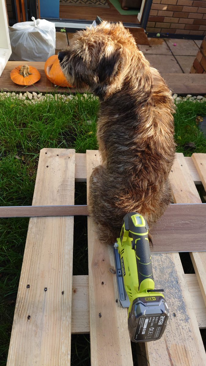 BtGryff's tweet photo. I love helping Dad with the DIY! https://t.co/GcBJ76vJKM