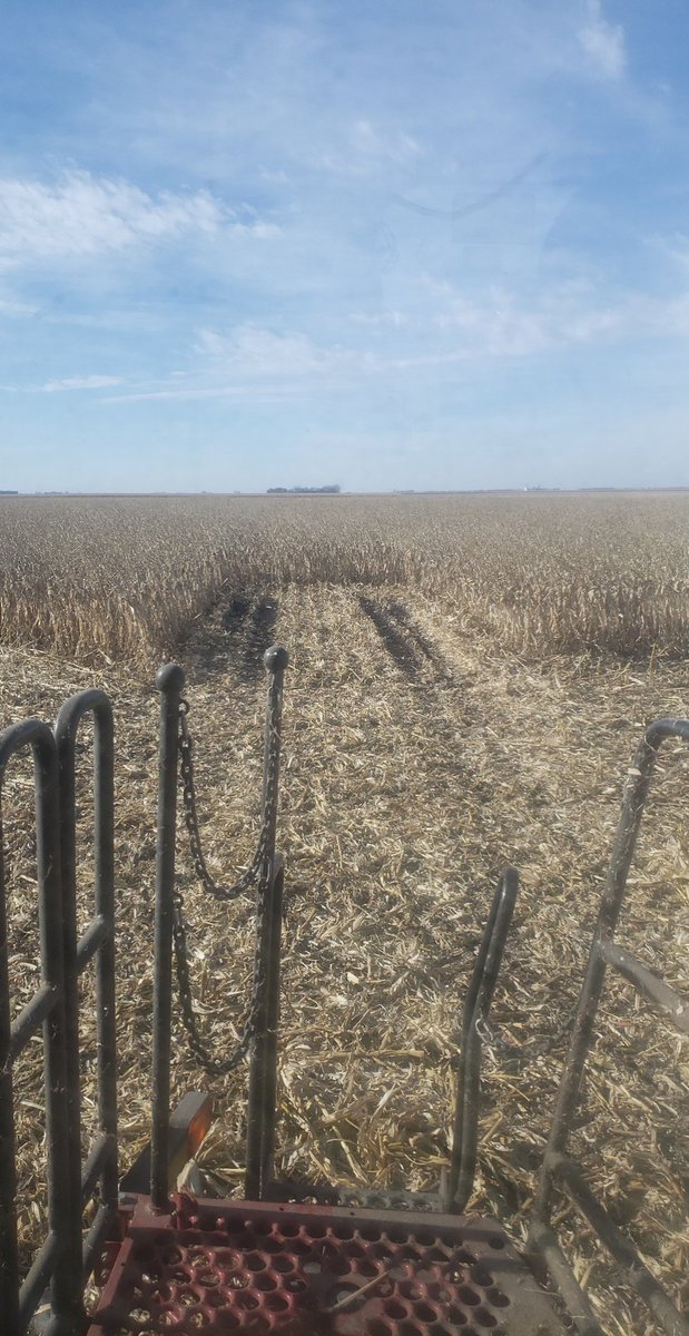 schuelkecorn's tweet photo. It's muddy, but still not as muddy as Joe's undies..... https://t.co/49iQAAxLZF