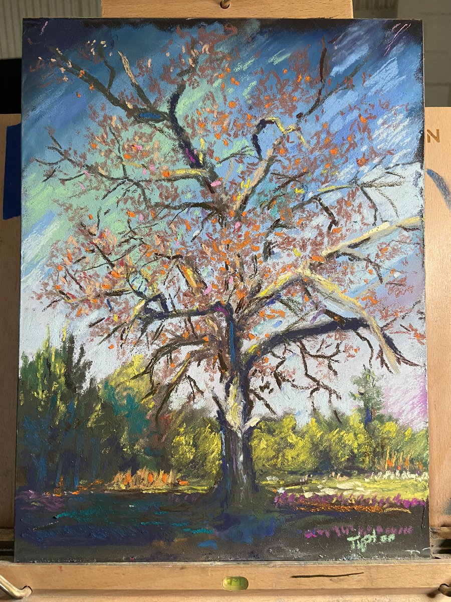 dantipton9's tweet photo. November pastel 2 prompt: trees #tree #nature #art #drawing #pastel #impressionist #fall #fallart https://t.co/aUykarb8LV