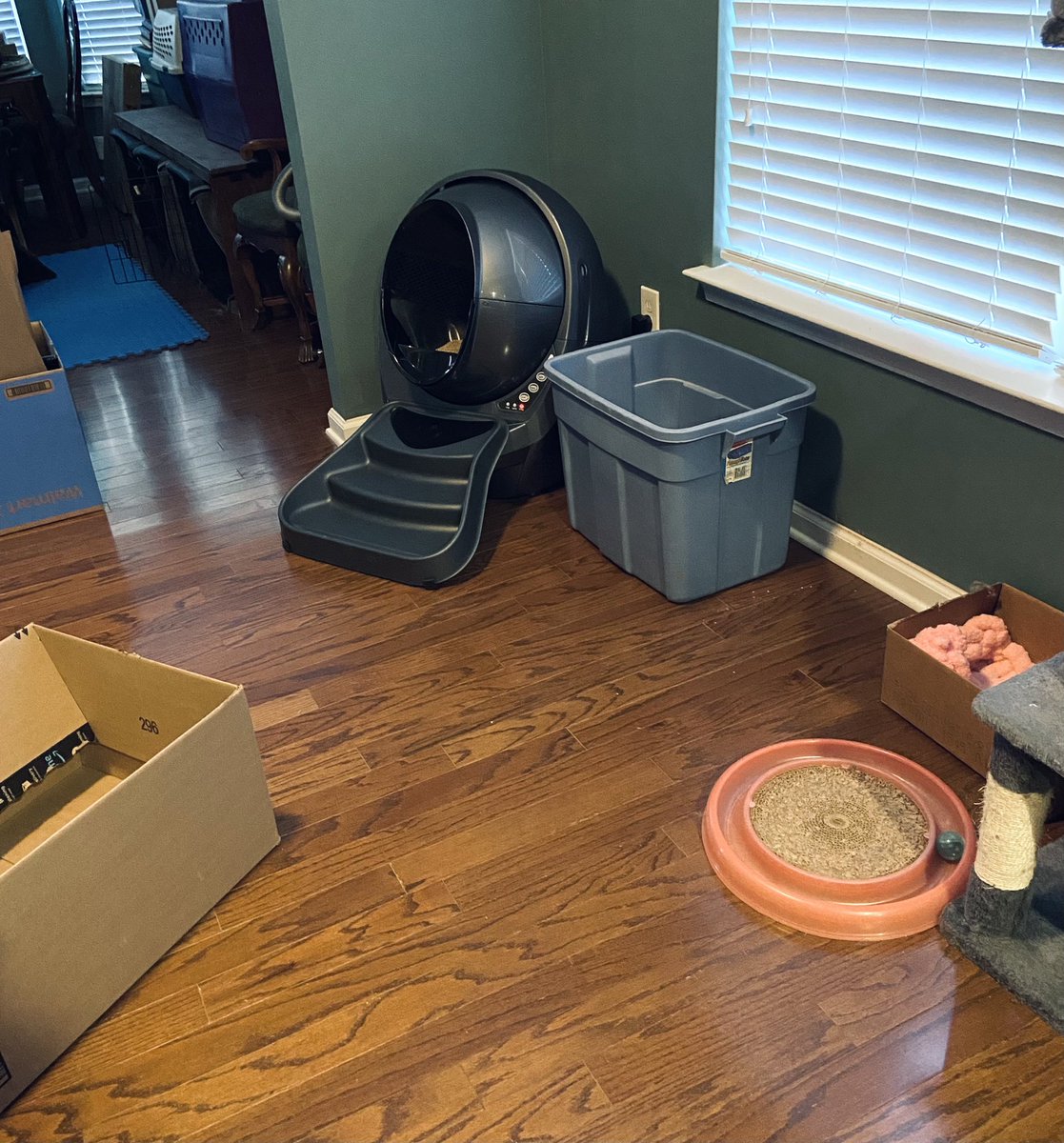 dogmomasf's tweet photo. Our new @Litter_Robot arrived. What a time to be alive.

 #ihopeitworks https://t.co/1qzbrYaaSJ