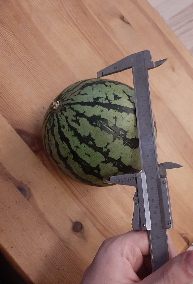 ProstateDestroy's tweet image. I have a melon with a diameter of 10.9cm and a 4mm thick skin
I calculated it's volume 
r = 5.45cm - 4mm
5.05cm³ *𝜋*4/3
=539.4643420977cm³
this means I ate 0.54 L of melon