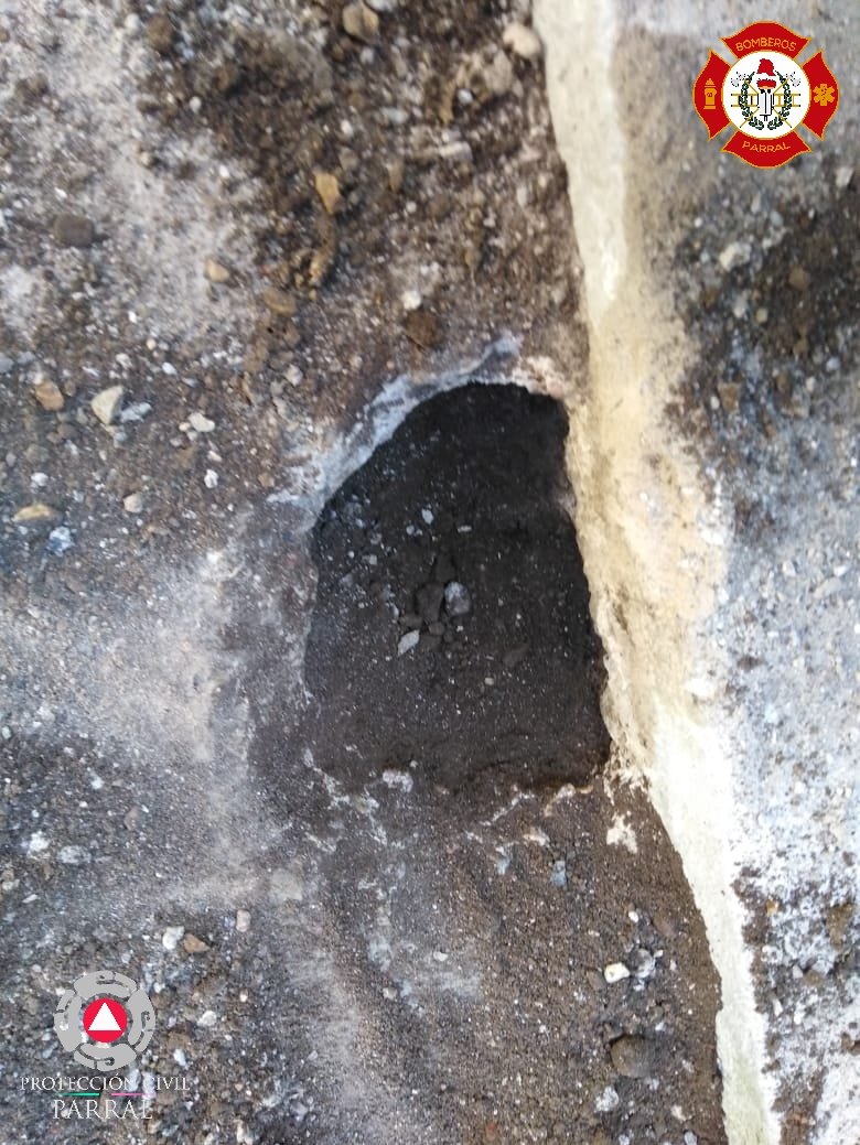 PCParral's tweet image. La Unidad de Protección Civil y Bomberos atendió un reporte de un cachorro 🐶 atrapado en el desagüe de una alcantarilla. 
Se realizaron maniobras de rescate para poder liberarlo, quebrando el concreto del patio. El pequeño cachorro ya está con su familia sano y salvo