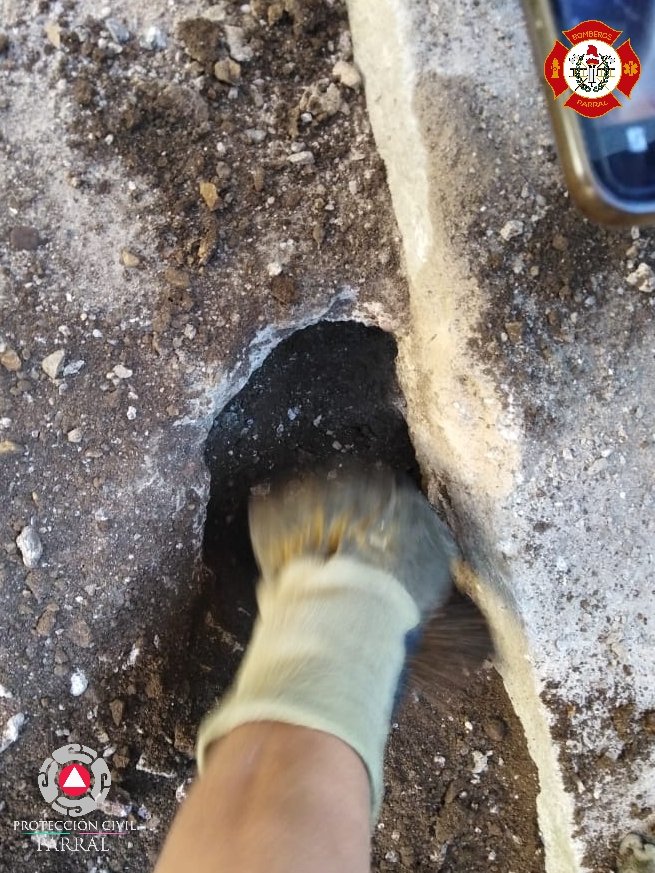 PCParral's tweet image. La Unidad de Protección Civil y Bomberos atendió un reporte de un cachorro 🐶 atrapado en el desagüe de una alcantarilla. 
Se realizaron maniobras de rescate para poder liberarlo, quebrando el concreto del patio. El pequeño cachorro ya está con su familia sano y salvo