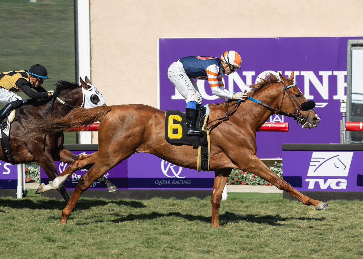 lrfracing's tweet photo. Congratulations to all of the partners as Red King won his AOC race today in the 1st at #delmar with @umbyrispoli aboard!! 

#lrfnation #sharetheexperience #winning #luckrunsfast https://t.co/4ASMGqeKTm