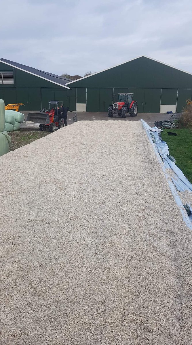 melkgeiten's tweet photo. Gisteren paar vrachten #bietenpulp mogen ontvangen. Resten/schroot uit de verwerking van #suikerbieten tot #suiker. Energierijk voedsel voor onze #melkgeiten. #perspulp #kringlooplandbouw #onzeboerderij https://t.co/ptkHP1Vvx0