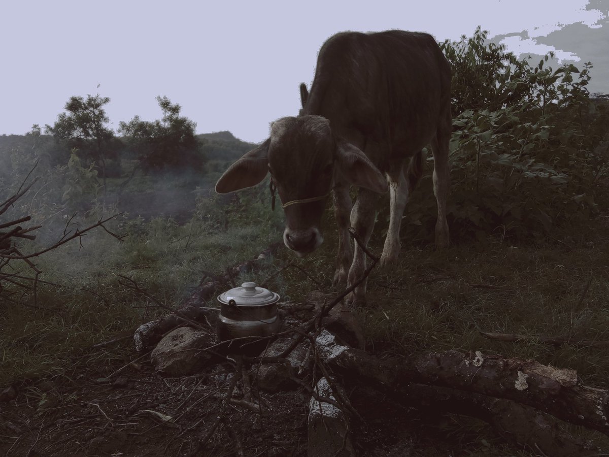 LUISGUS23444569's tweet photo. Xcuan Tiu Bed
El toro de Don Pedro
@DizhSa
#Usatuvoz
#Zapotecodelvalle https://t.co/rJGqBg9Lvc