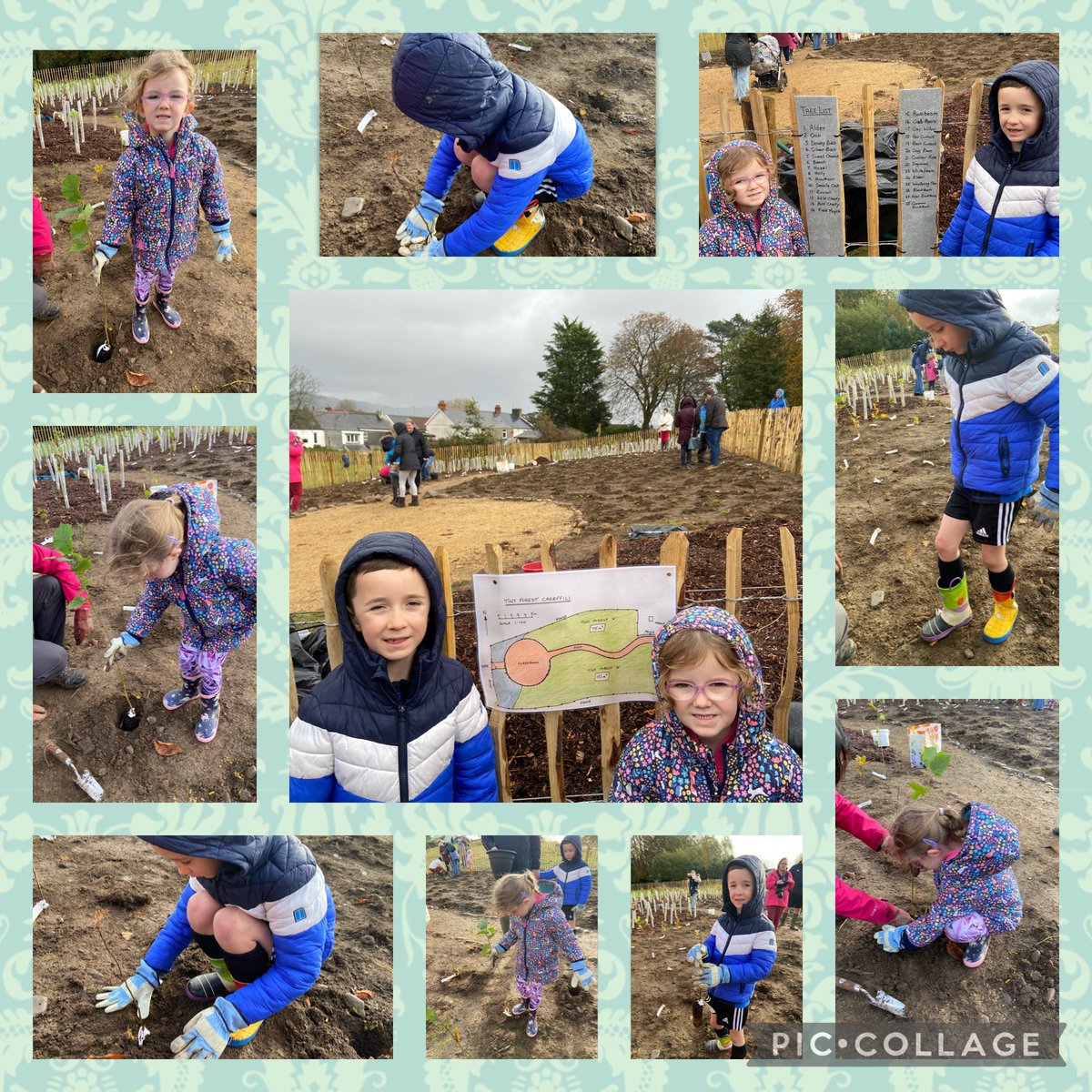 FflurRowlands's tweet photo. Wedi mwynhau helpu’r gymuned i blannu coed yn y parc! @Ysgol_y_Castell #Castell3 #nantyceisiad https://t.co/ZsAMrBvNPX