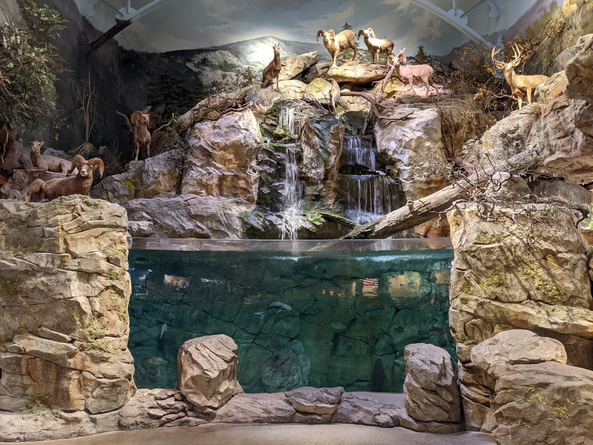 WhereDoITake's tweet photo. Bass Pro Shops is an elaborate outdoor sporting goods store in San Jose

https://t.co/WL8YUf8srk

#BassProShops #SanJose #HuntingFishingStores https://t.co/pAzvDrppq8