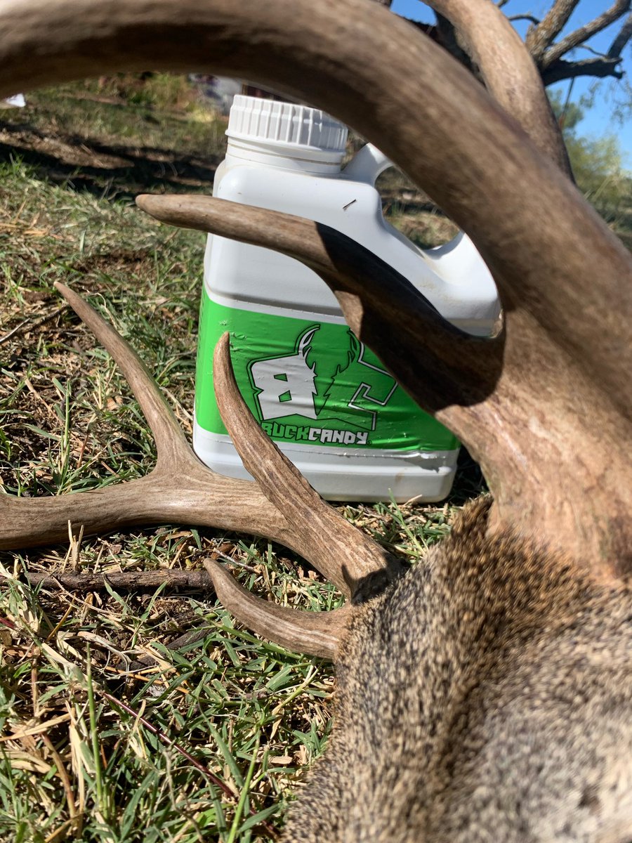 tinaghenry's tweet photo. I passed on a decent 10 Saturday morning to take this freak horned deer. #iamthecullinator #iamprois #buckcandy #basemap https://t.co/J6ID4mgtUq