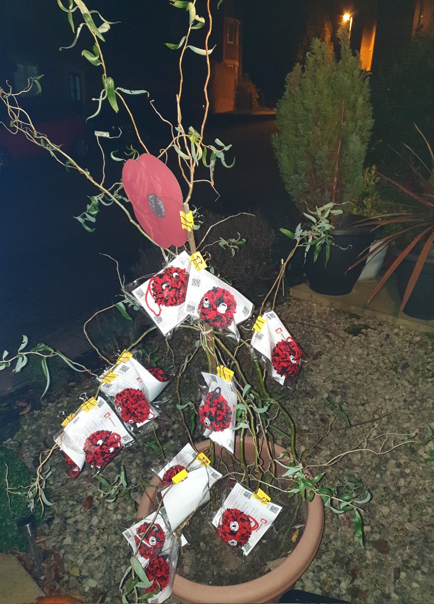 olliefullness's tweet photo. The lead up to #RemembranceDay can be an emotive time for anyone who has served in the military. We're highlighting its ok to talk and  our #eilloworrypets start off these powerful #mentalhealth conversations and bring some support that you are not alone! @CombatStress #PTSD https://t.co/6zof2VW8uK