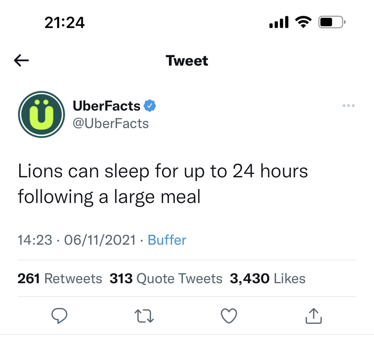 CryptoG0dfath3r's tweet photo. @LazyLionsNFT #LazyLions there is a reason we are lazy 🦁😂 https://t.co/NVc2ask4HR