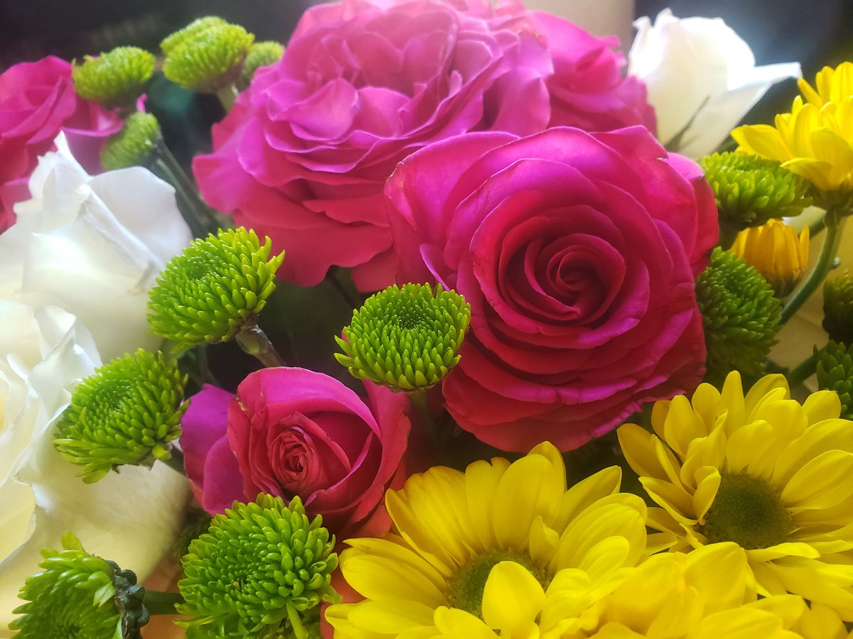 2SatisfyMISoul's tweet photo. Had to wait for the roses to bloom... don't get it twisted... I still get them WEEKLY. #MixedEdition #WeeklyFlowers ๐๐น๐๐ฅฐ https://t.co/jYnFN6g0Fj