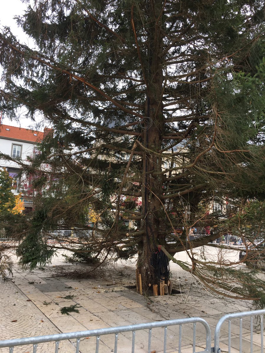 LBouillane's tweet photo. @sandrinthomas @Djebbari_JB Nous en avons été privé l’année dernière, dommage que cette année il soit abîmé d’un côté C’était une solde … ou un problème de transport ?
Dommage ! https://t.co/eaaHUFSldh