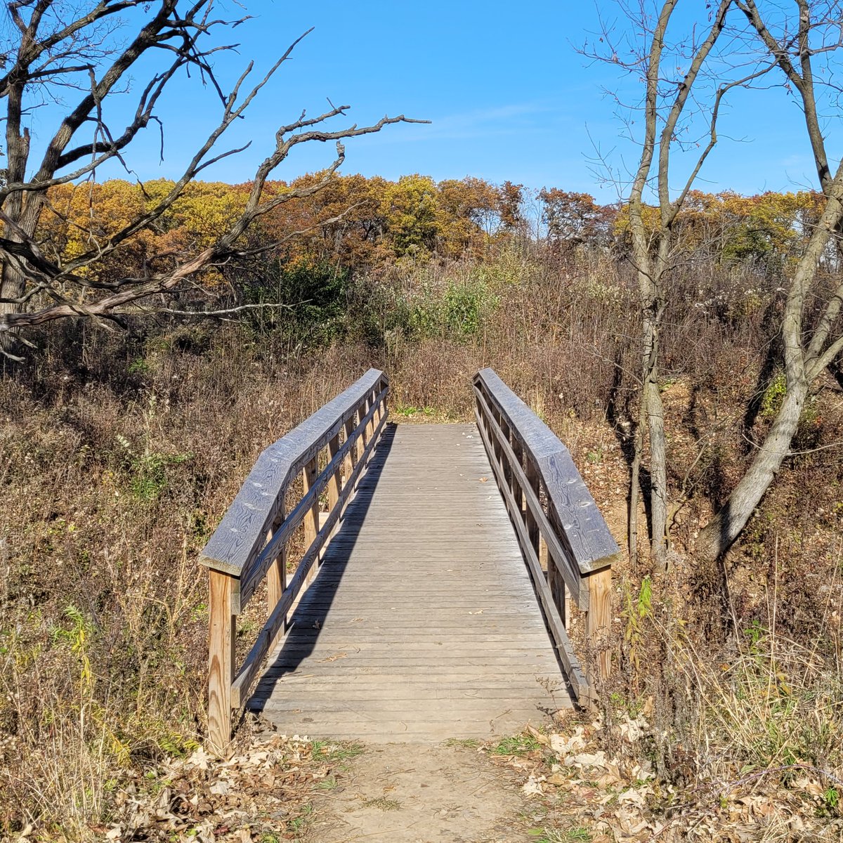 jweyers2's tweet image. On a day like this you know you will find Juno &amp;amp; I hiking!!! @IceAgeTrailOrg #CrossPlainsWI #AdventuresWithJuno