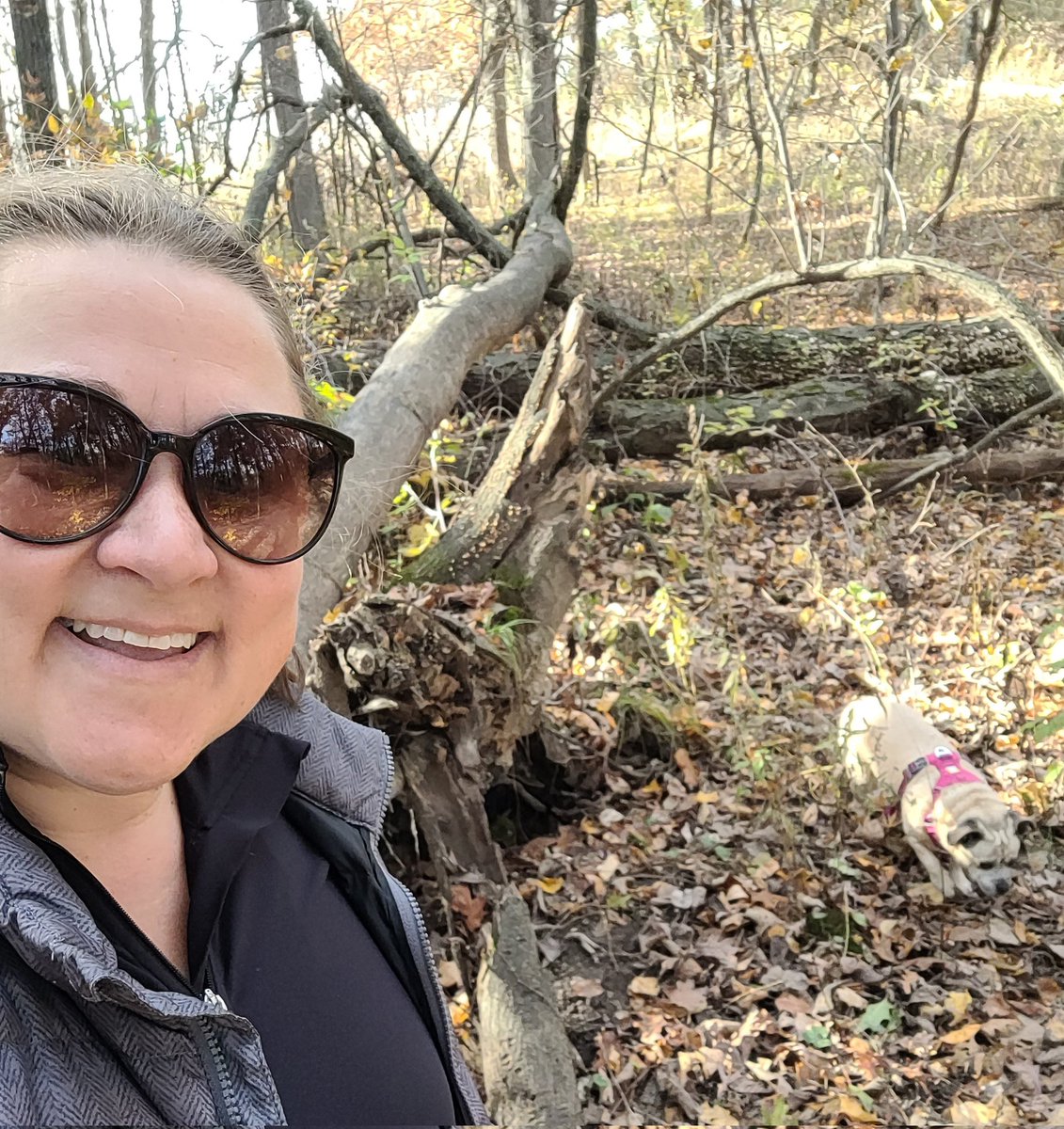 jweyers2's tweet image. On a day like this you know you will find Juno &amp;amp; I hiking!!! @IceAgeTrailOrg #CrossPlainsWI #AdventuresWithJuno