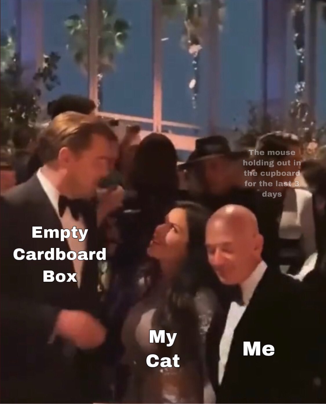 This Format Is Fire Memes Meme Memecontest Bezos Dicaprio Twitchtv Twitchtvgaming Amazon Amazonprime Catsontwitter T Co Fbutvok8fa Twitter