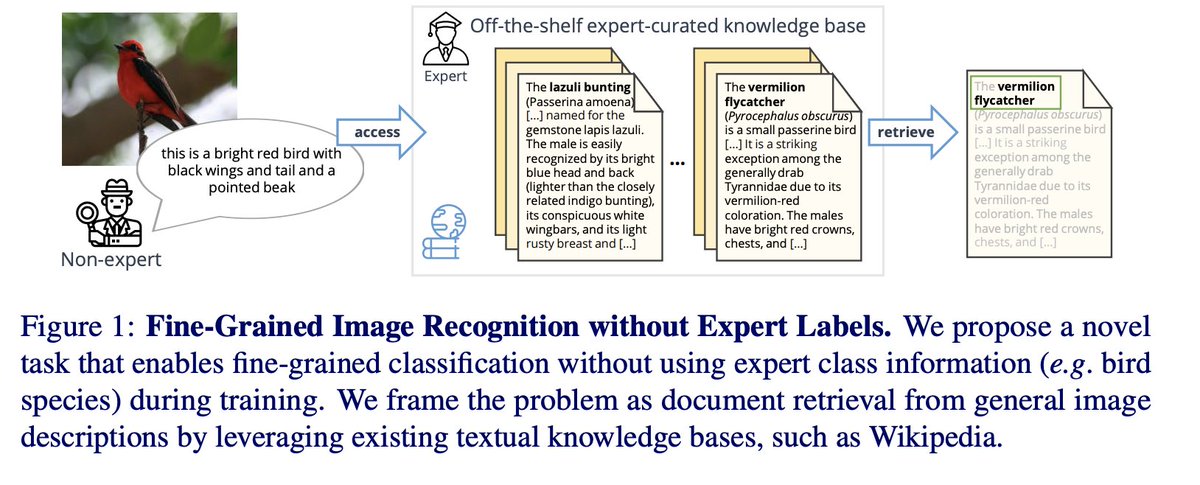 _akhaliq's tweet photo. The Curious Layperson: Fine-Grained Image Recognition without Expert Labels
abs: https://t.co/WGqFHxKw8J
project page: https://t.co/O9R8VLDYxa https://t.co/5uEMKJTN4k