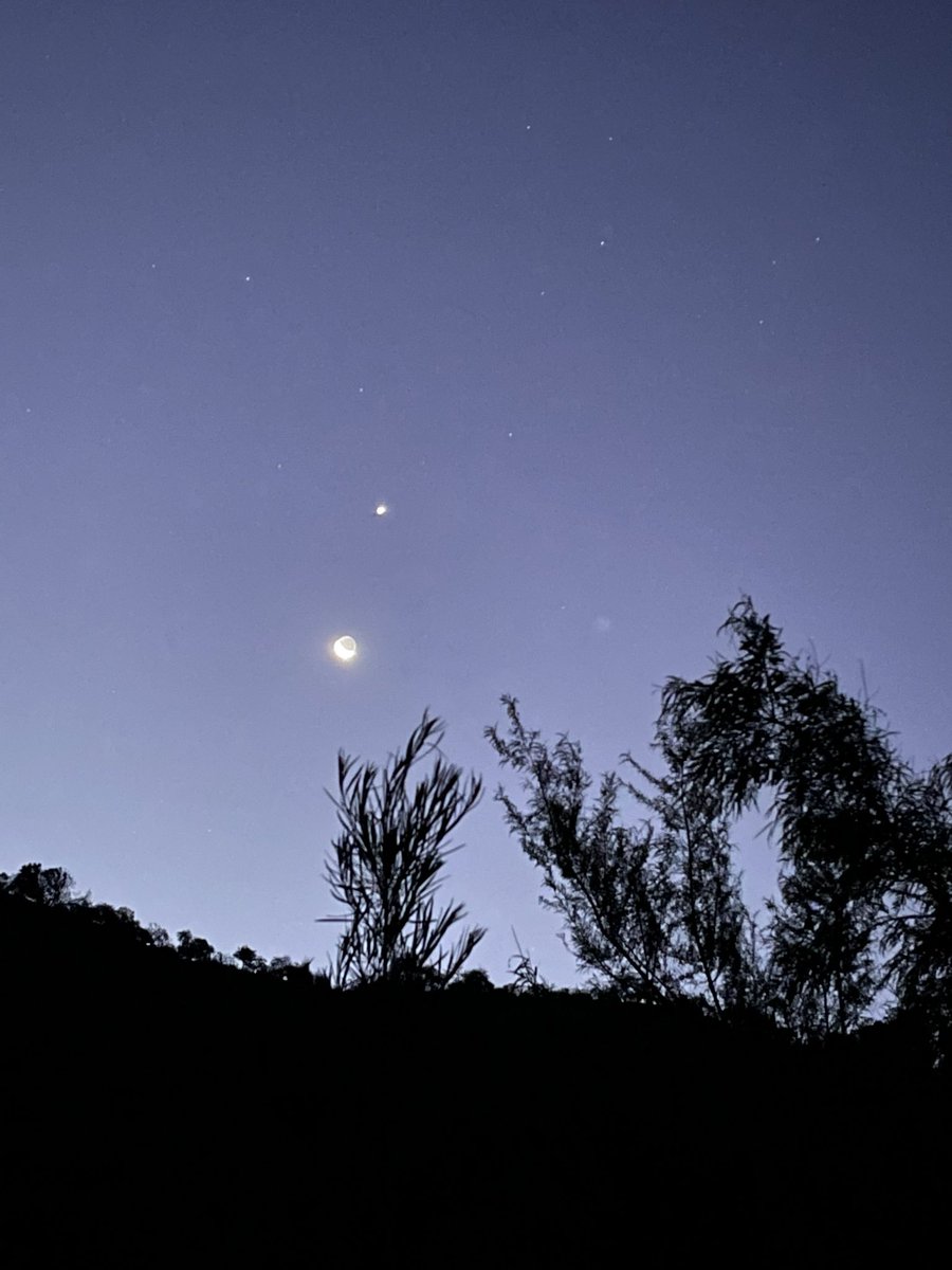 SirClaudio25's tweet photo. #Venus https://t.co/r8aADrr77U