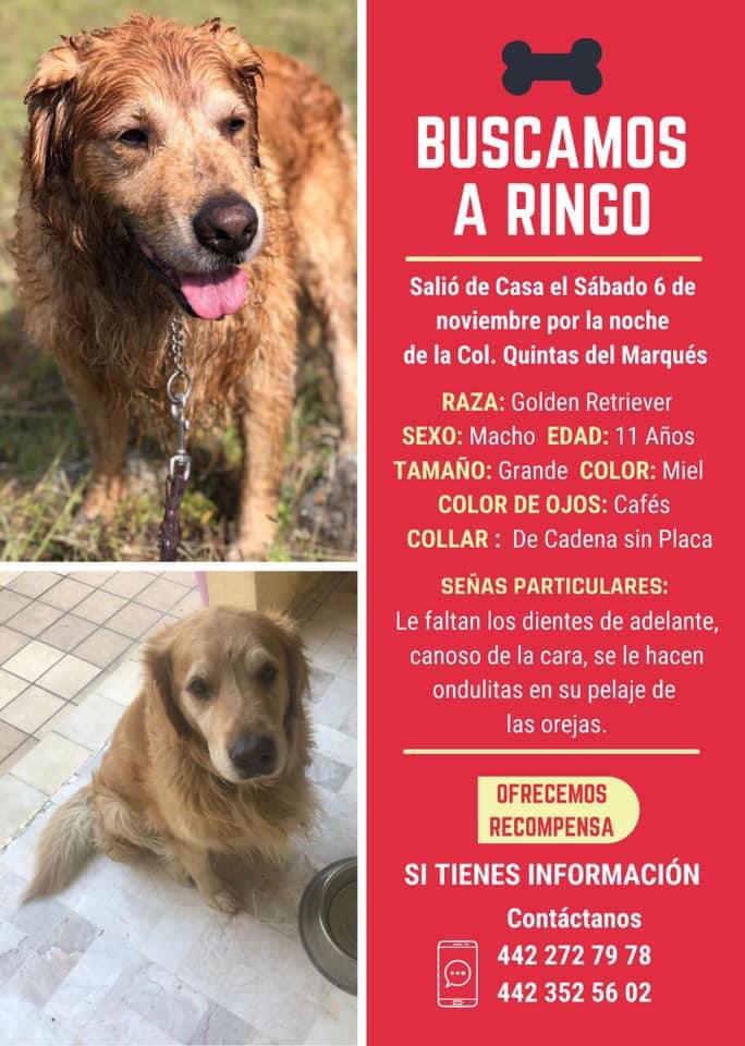 AngieeeRM's tweet photo. ⚠️⚠️⚠️ #Querétaro 

Por favor, si alguien sabe algo no dude en contactarme! https://t.co/F20onhHQcL
