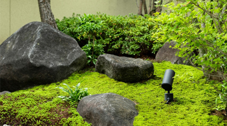 تويتر 造園家 البحث في تويتر