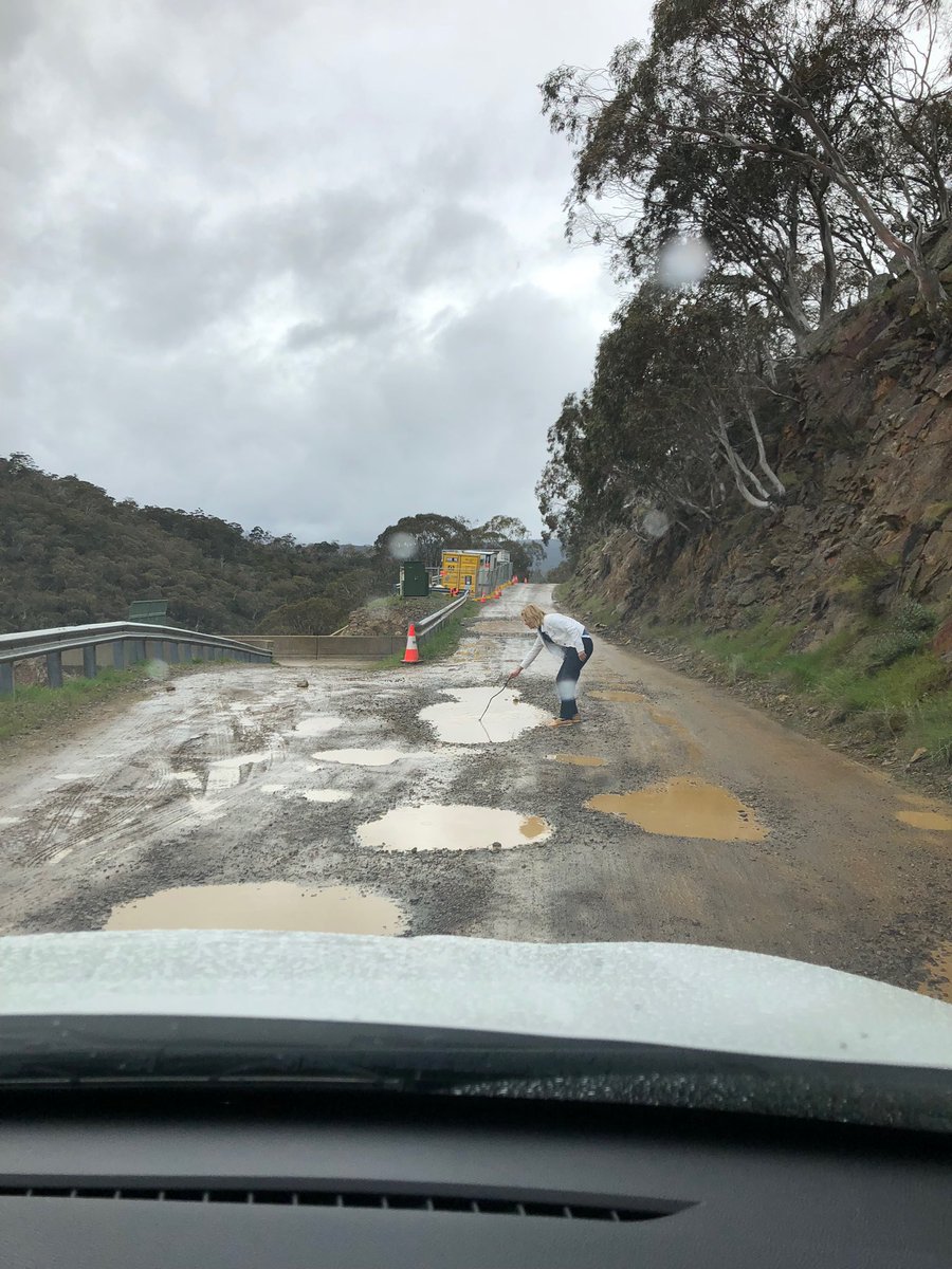 TimOverall's tweet image. Good job “testing the waters” over the weekend @NicholeOverall
#Monaro