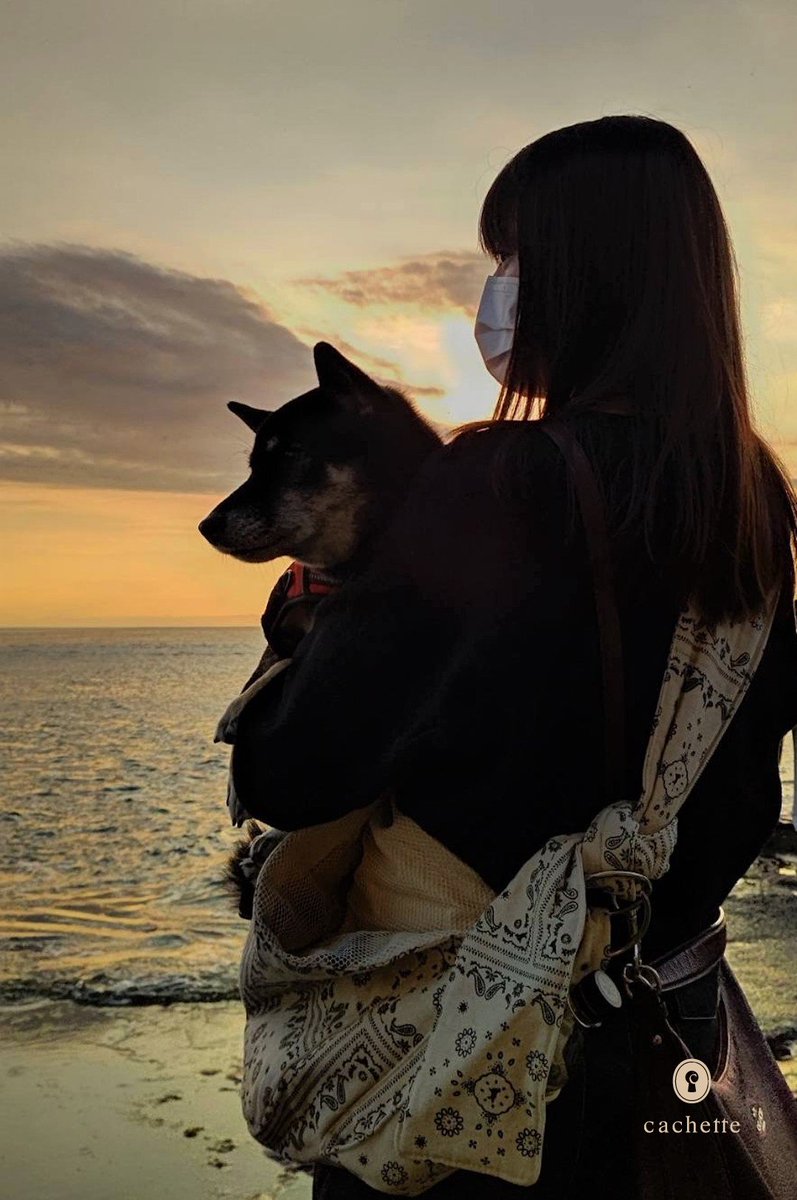 cachette_pet's tweet photo. 【Contributor's column🐶】
#岩切裕布さん と #空ちゃん の記事が更新されました🐾
抱っこ犬と、久しぶりにドッグフレンドリーな江ノ島散策💁
https://t.co/g4UnczCm35
#cachettepet #ContributorsColumn #lifestyle #柴犬 #江の島 #抱っこ犬 #しらす丼 https://t.co/483iyVBF8Y