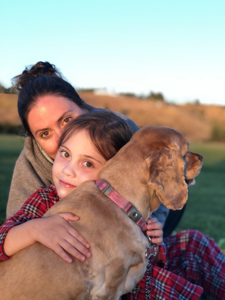 Jason Krogman tweet media