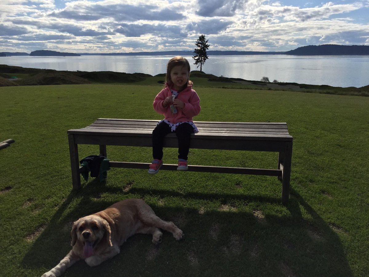 Jason Krogman tweet media