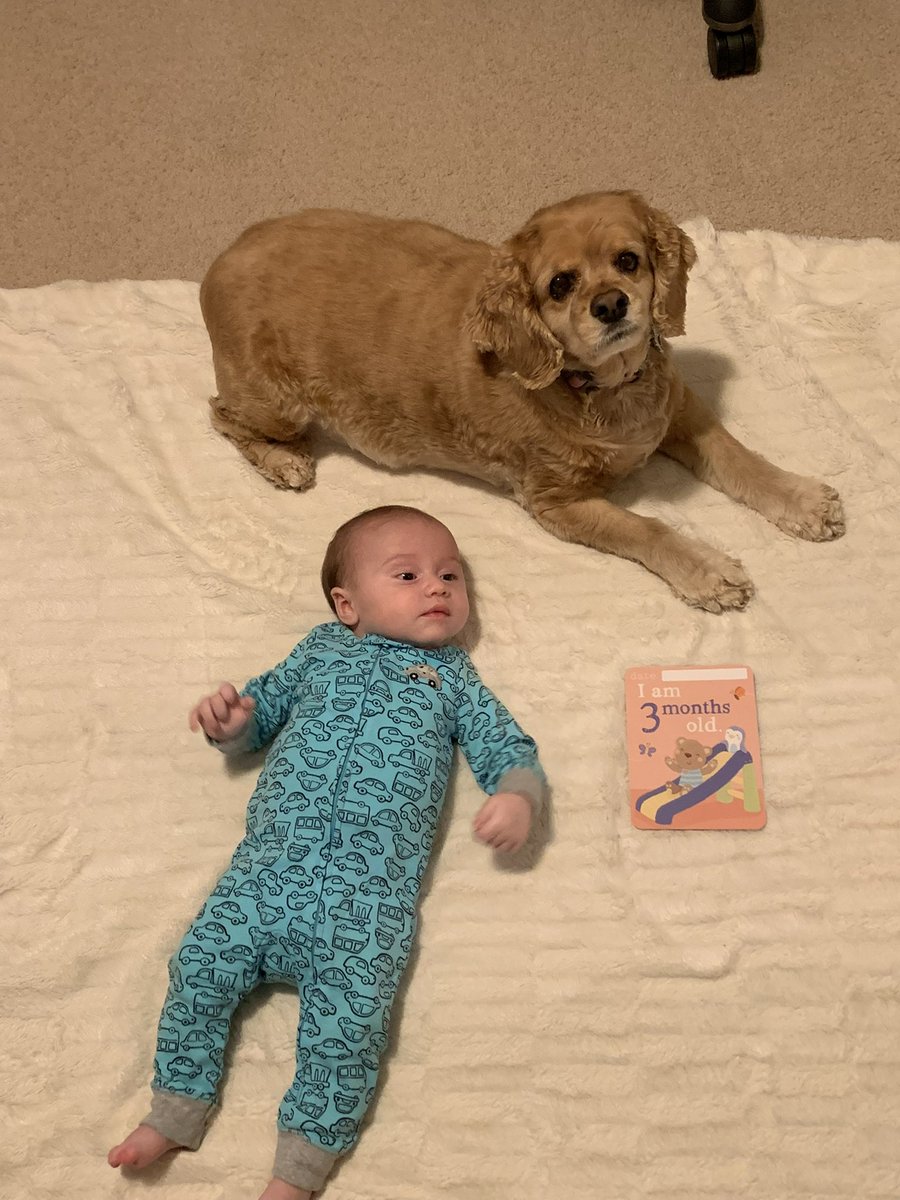 Jason Krogman tweet media