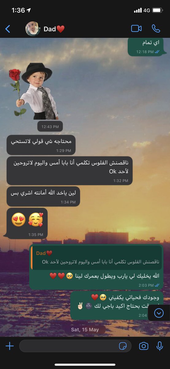 Toqa66 tweet media