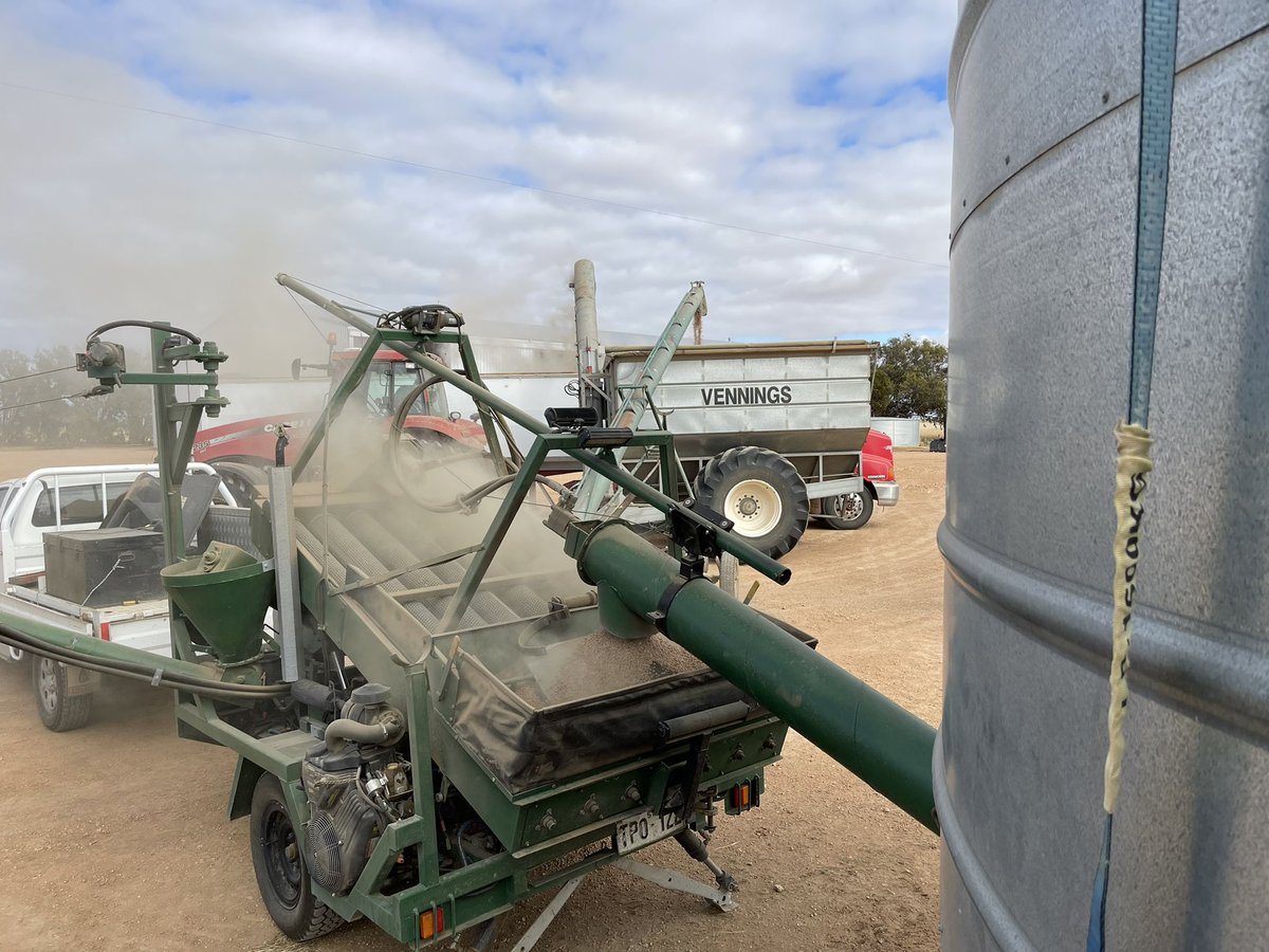 walcoseedau's tweet photo. Chasing dirt and bedstraw today. Hardest bit is staying out of the dust! #whartonpeas #seedcleaning #walcoseed #farming #harvest21 https://t.co/f8GE9QstnB