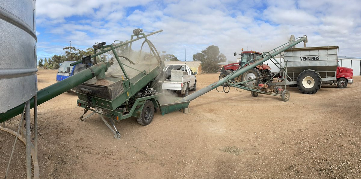 walcoseedau's tweet photo. Chasing dirt and bedstraw today. Hardest bit is staying out of the dust! #whartonpeas #seedcleaning #walcoseed #farming #harvest21 https://t.co/f8GE9QstnB