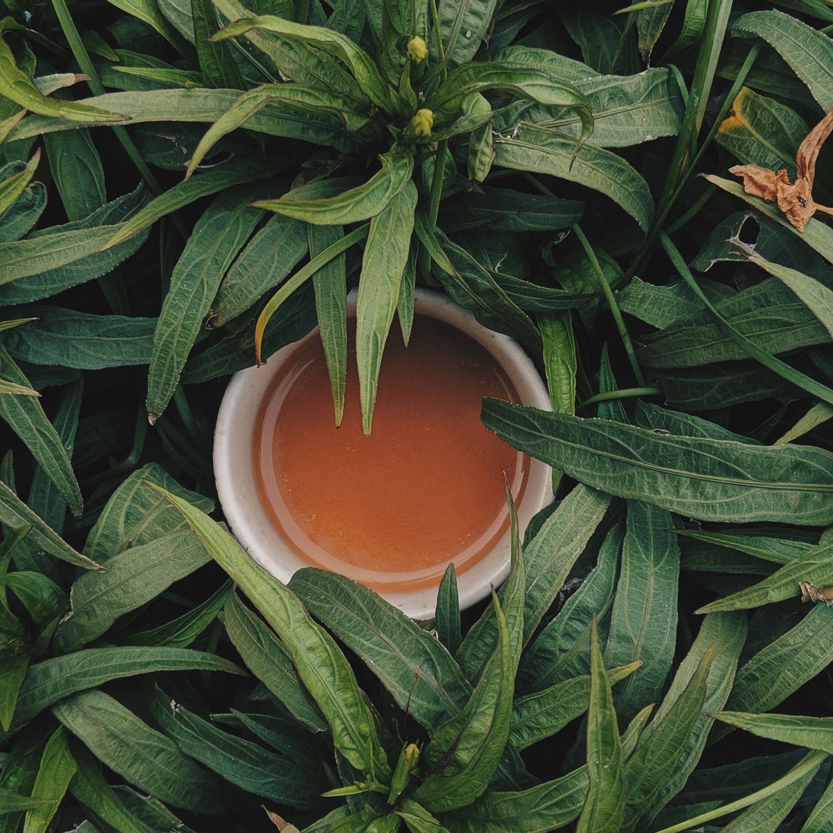healing3oflife's tweet photo. FULL BODY DETOX Tea (Year bundle), Christmas Gift for Her https://t.co/Ib6jr1lVzk #BlackOwnedBusiness #SupportBlackBusiness #FertilityTeas #BagsofJoy #LiverCleanseTea https://t.co/QIBHMaLPTs