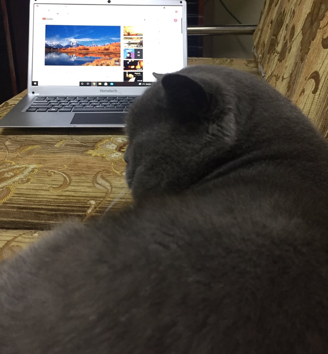 Erdal’la Relaxing Piano Time 
[Adı Erdal olsada Ana tarafı Britanyalı😁]