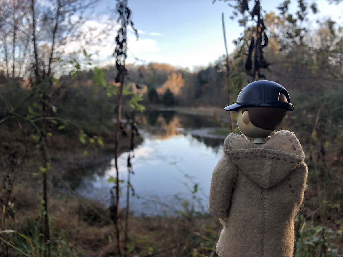 TinyJooning's tweet photo. We saw our favorite wetland resident again today, the great blue heron. https://t.co/UqxcC8eXux