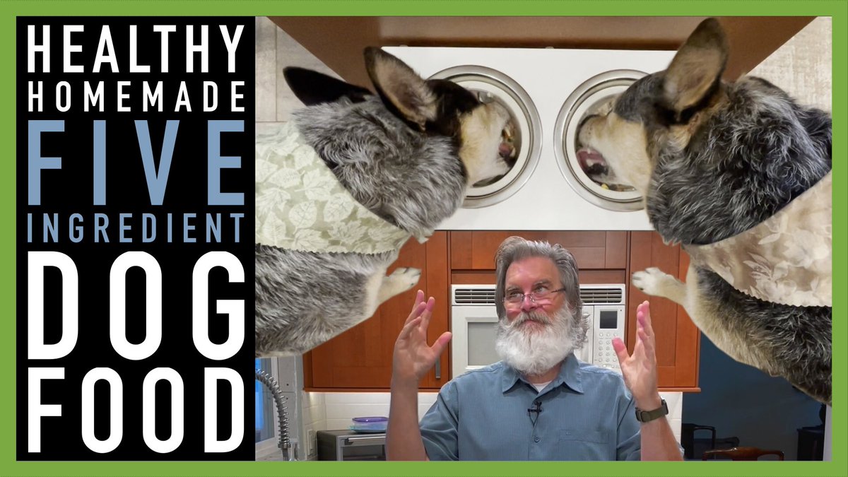 LymeNotesTweets's tweet image. My dogs told me your dogs want you to watch this video…

youtu.be/uz90GXiJbV8 via @YouTube